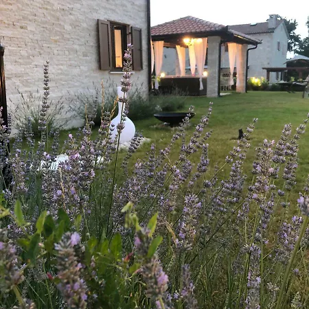 Villa Luka Višnjan